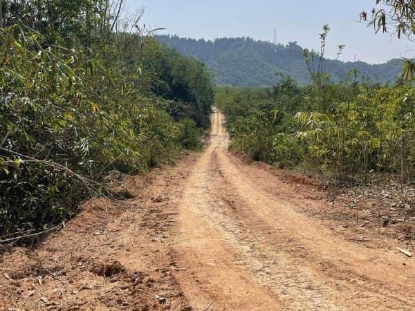 Tanah pertanian geran individu 4 ekar