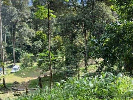 Tanah Dusun Batu 17 Dusun Tua Hulu Langat Selangor 3.75 Ekar Freehold Geran Individu