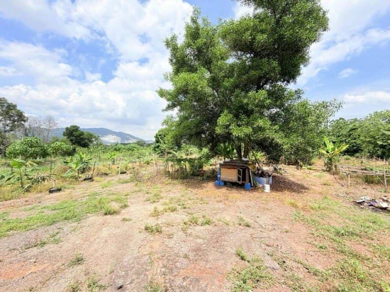 Tanah Pertanian 1.91 Ekar Sebelah Taman Desa Jasmin Nilai Freehold