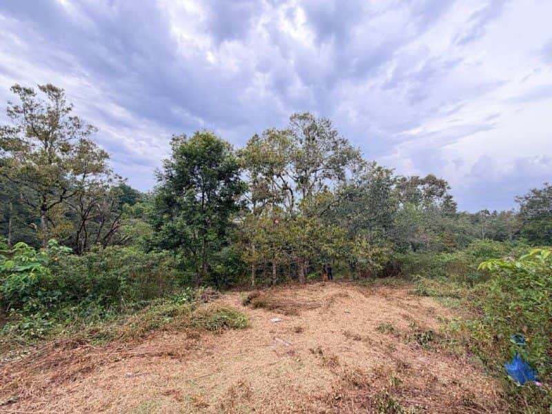 Tanah Kebun Sri Bandi Kemaman Terengganu 1 Ekar Freehold
