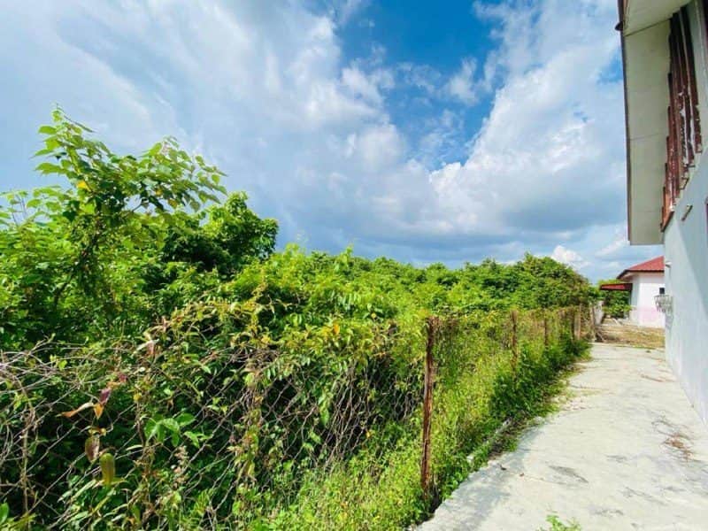 Lot Banglo Suasana Kampung Pokok Sena Kedah 34556 Sqft Freehold