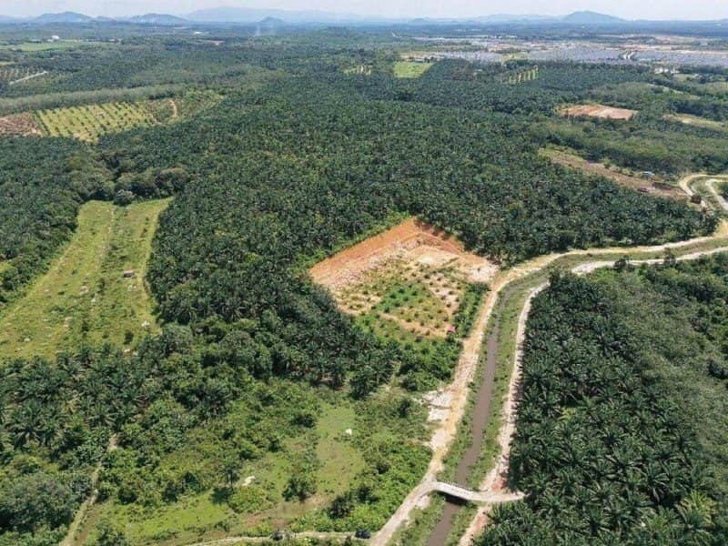 Tanah Pertanian Tepi Jalan Bemban Melaka 1.26 Ekar Tepi Sungai
