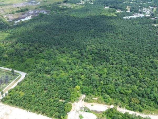 Tanah Industri Bukit Changgang Banting Selangor 9.8 Ekar Freehold