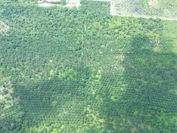 Tanah Industri Tanjung Dua Belas Selangor 2 Ekar Freehold