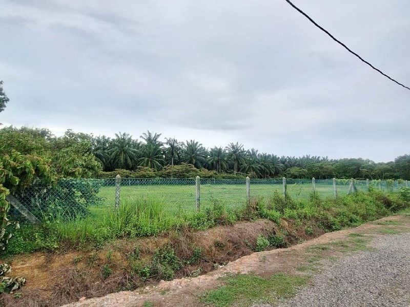 Tanah Pertanian 1.21 Ekar Nusa Dusun Orchard Resort Kuala Linggi Melaka Berpagar