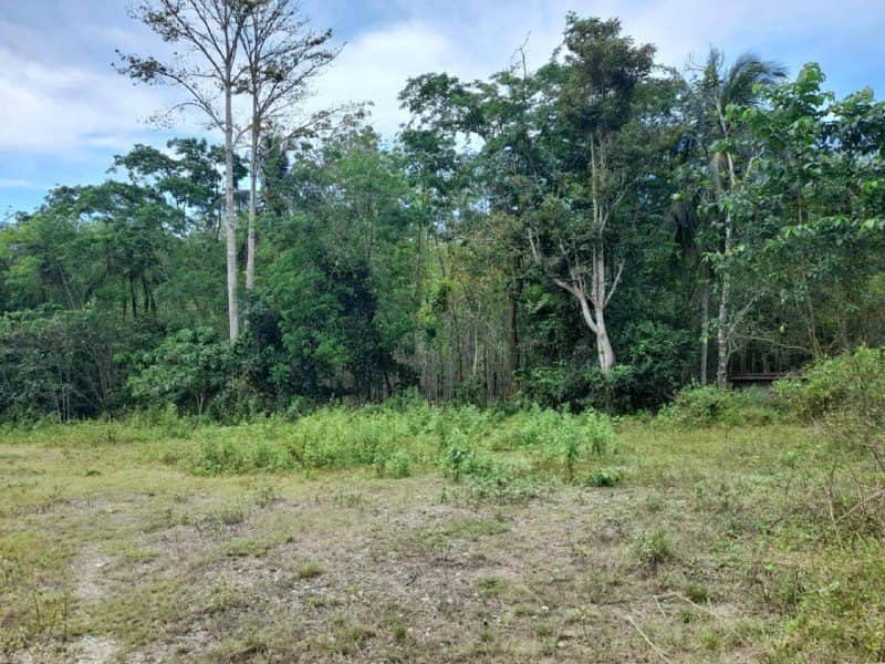 Tanah Pertanian Padang Terap Kedah 50364 Sqft