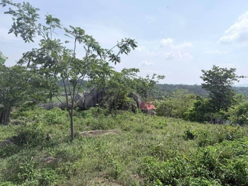 Tanah Kebun 4 Ekar Ayer Jernih Beserah Kuantan Freehold Dusun Durian Berpagar