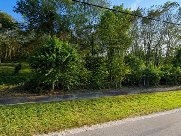 Tanah Pertanian Disewa 3.2 Ekar Tepi Jalan Utama Pajam Mantin Seremban Lokasi Strategik