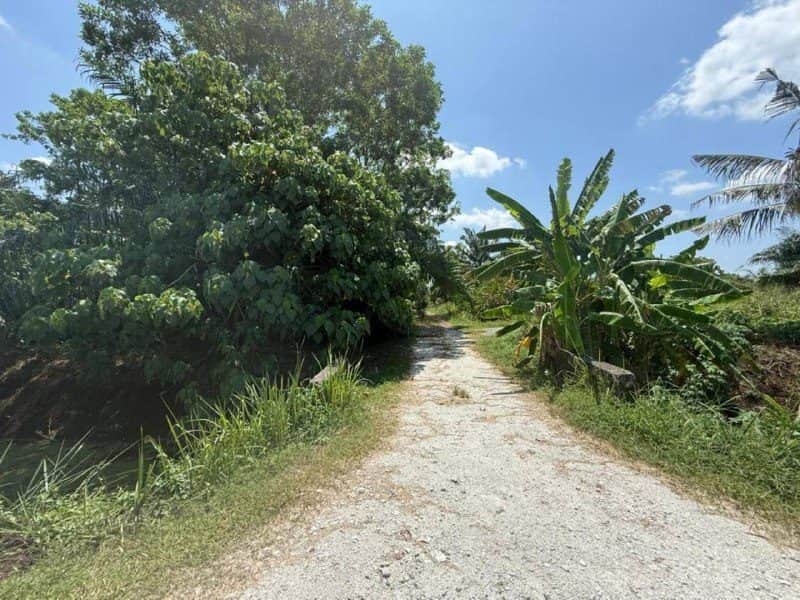 Tanah Pertanian 3.4 Ekar Parit 10 Sungai Panjang Sabak Bernam Selangor Tepi Jalan Tar