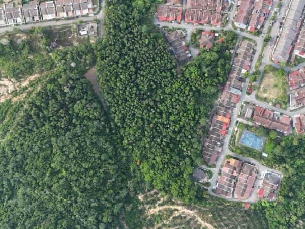 Tanah Pertanian 8.7 Ekar Tampin Pulau Sebang Alor Melaka Freehold Berhampiran Kawasan Kediaman