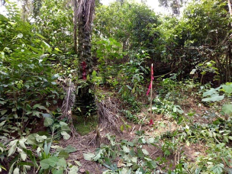 Tanah Rancangan Pinggiran Jenderam Dengkil Sepang Selangor 42,033 sqft