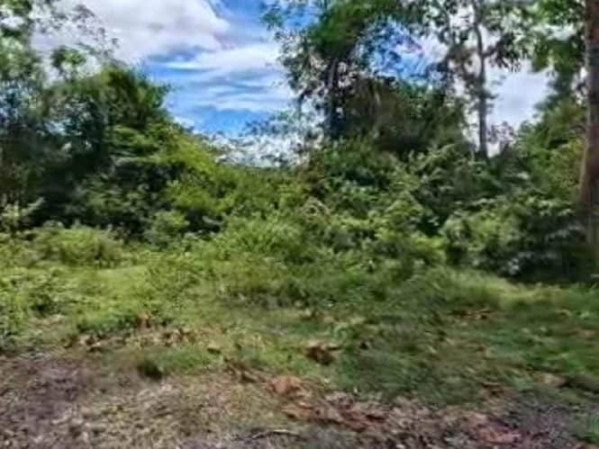 Tanah Pertanian Kerling Hulu Selangor 5 Ekar Freehold Ada Sungai