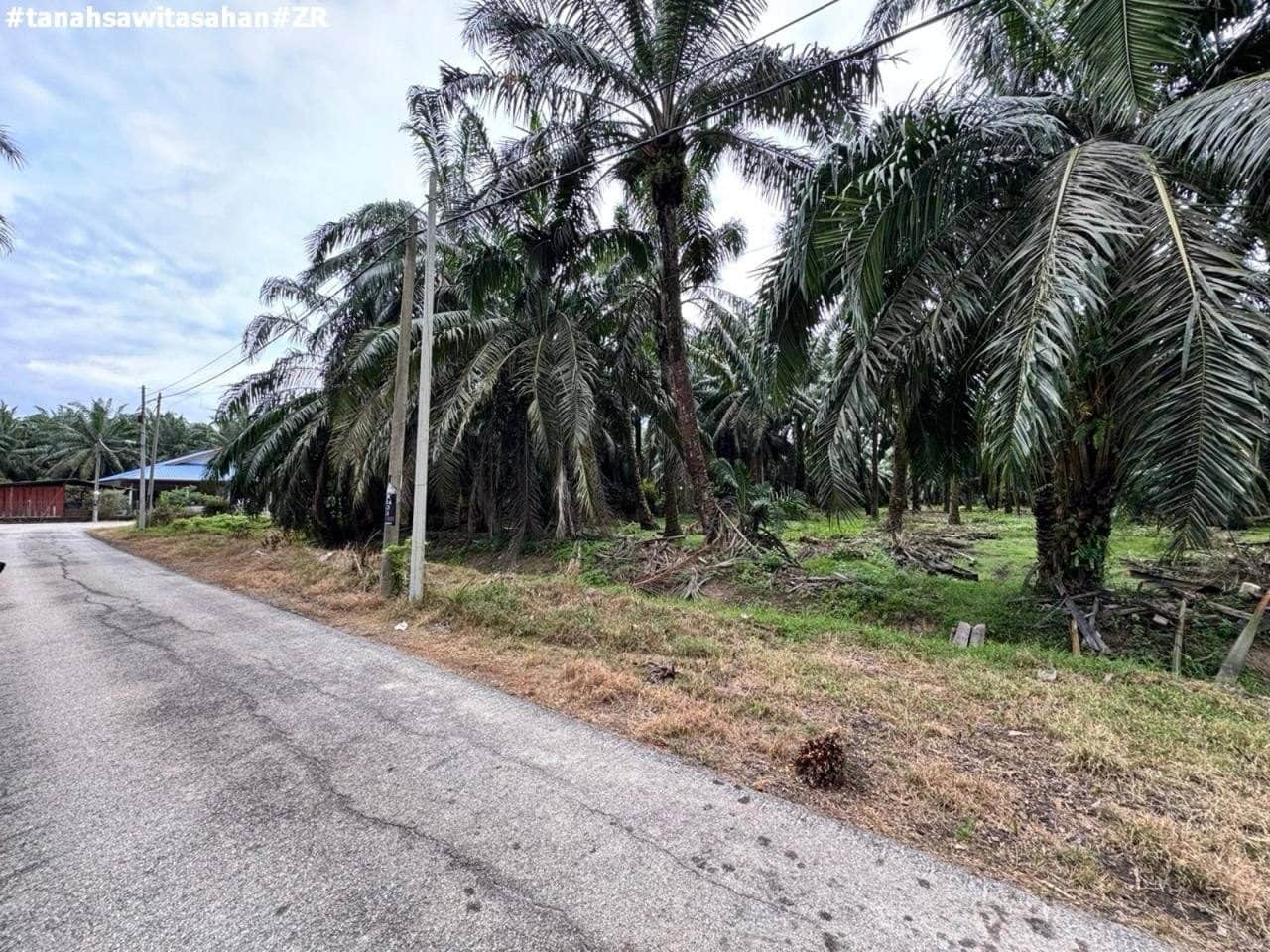 Tanah Kebun Sawit 1.23 Ekar Freehold Kampung Asahan Kuala Selangor