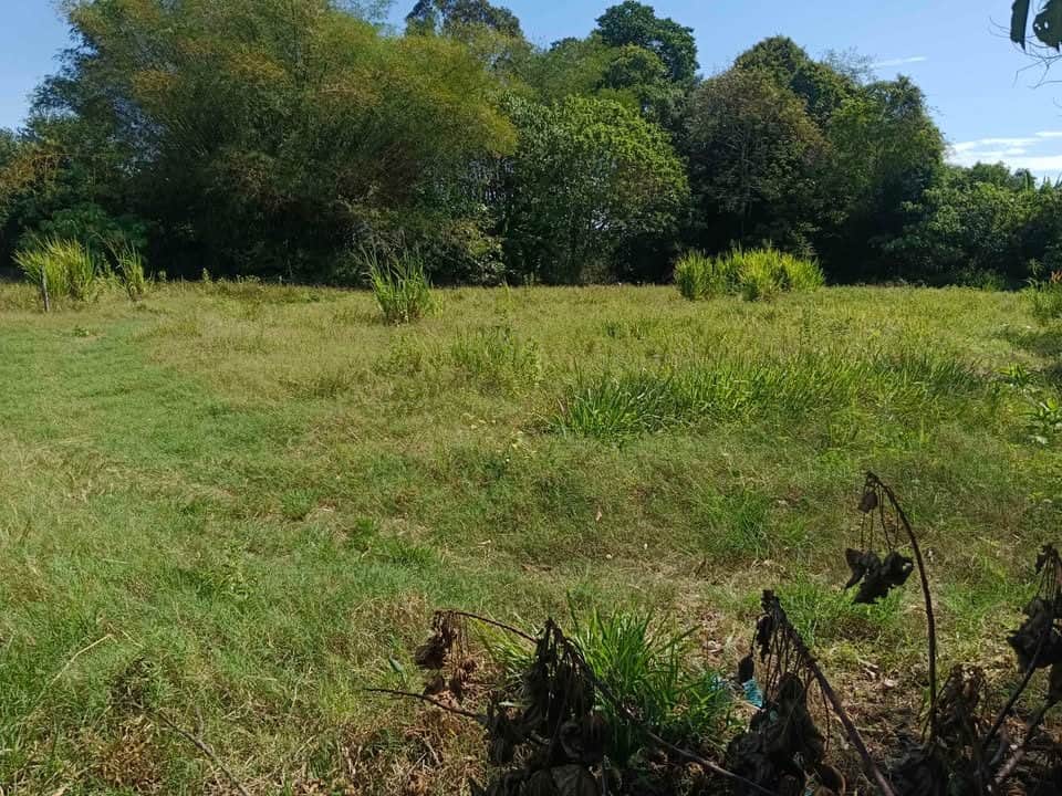Tanah Bendang 2.57 Ekar Pengkalan Kakap Merbok Kedah