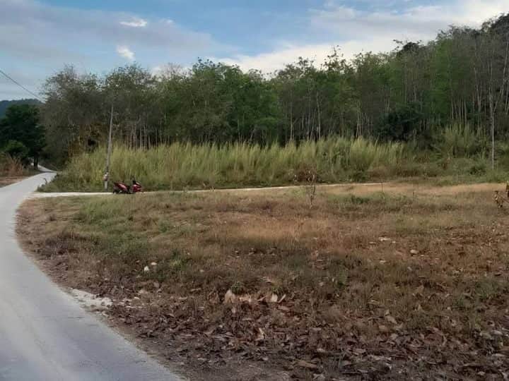 Tanah Pertanian 1.13 Ekar Kampung Empa Pokok Sena Kedah Freehold