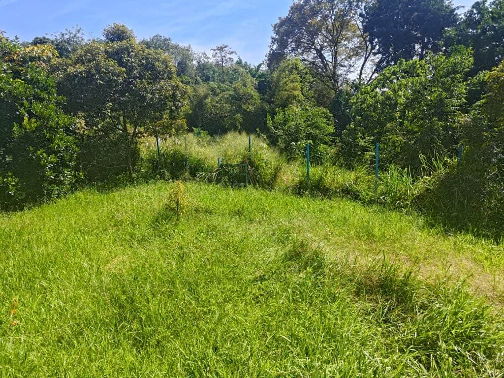 Tanah Kebun 0.96 Ekar Bukit Indera Muda Kubang Semang Pulau Pinang Freehold