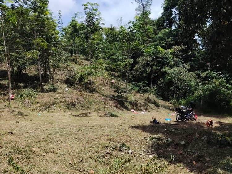 Tanah Kebun 1.12 Ekar Kubang Besah Jitra Kedah Freehold