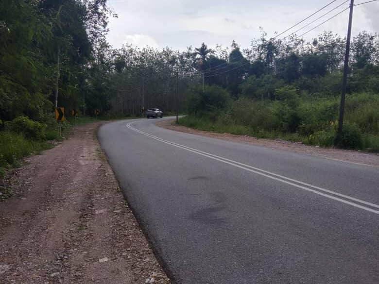 Tanah Dusun 3.10 Ekar Derang Pokok Sena Kedah Freehold International Lot