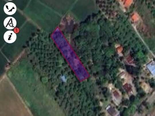 Tanah Pertanian 19,547 Kaki Persegi Semadong Beseri Perlis Freehold