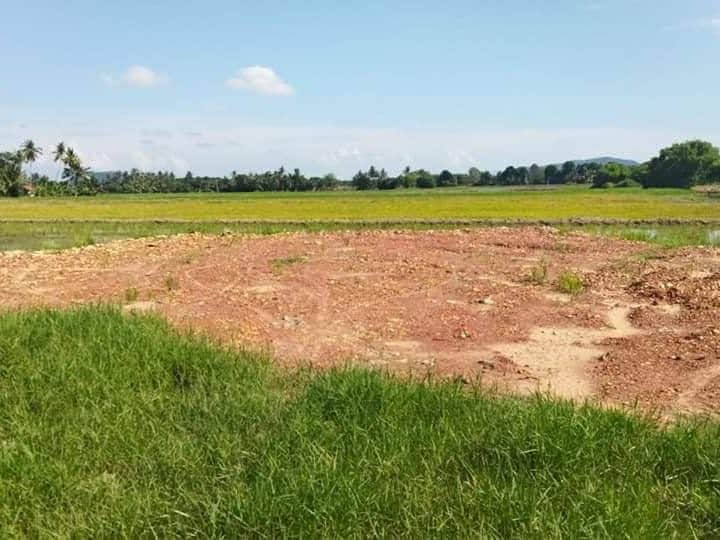 Tanah 1.79 Relong Sungai Pial Merbok Sungai Petani