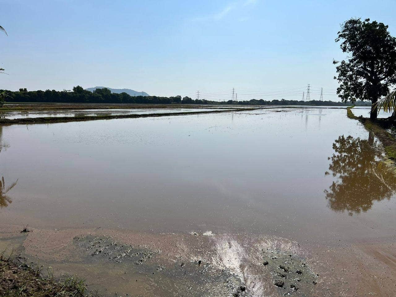 Tanah Bendang 4.14 Relong Anak Bukit Alor Setar Kedah Freehold