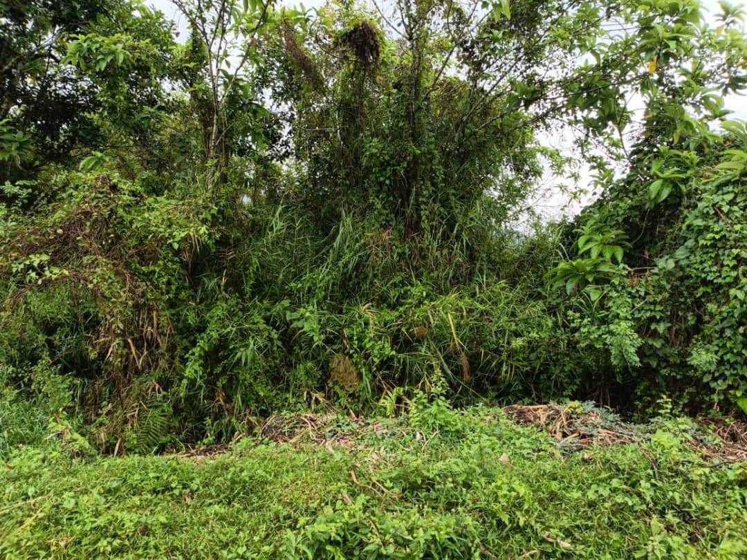 Tanah 3,628 Meter Persegi Permatang Pasir Balik Pulau Penang Freehold