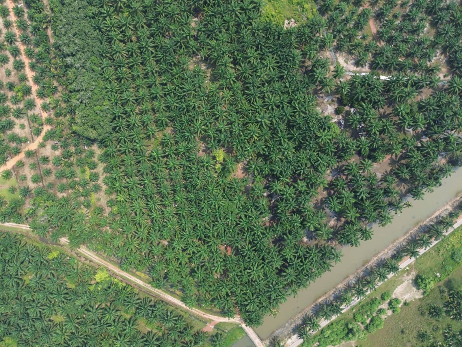 Tanah Pertanian 2.14 Ekar Sungai Rambai Jasin Melaka Freehold