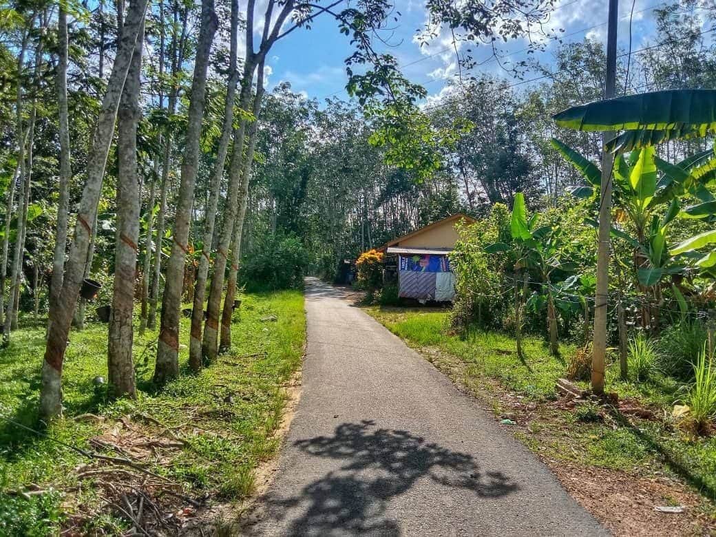Tanah Pertanian 28,352 Kaki Persegi Kampung Rambutan Kuala Nerang