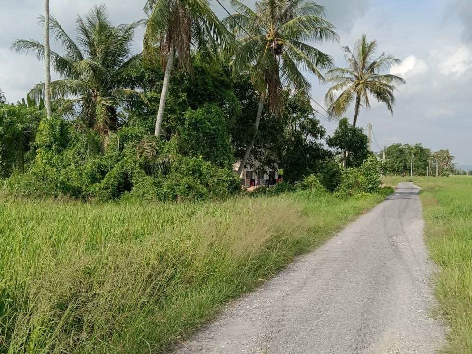 Tanah Sawah 2.56 Relung Manggol Bongor Megat Dewa Kedah